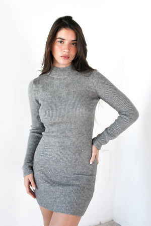 LS Sequin Sweater Dress